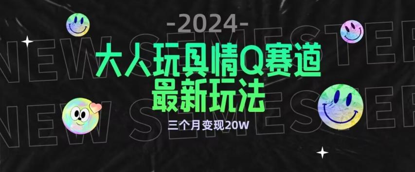 全新大人玩具情Q赛道合规新玩法，公转私域不封号流量多渠道变现，三个月变现20W【揭秘】-点子口袋网