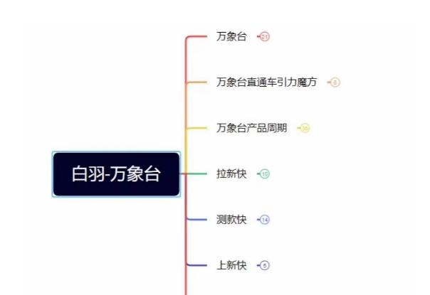 白羽·直引万搜索全篇，从0-1，多个类目实操经验总结付费-点子口袋网
