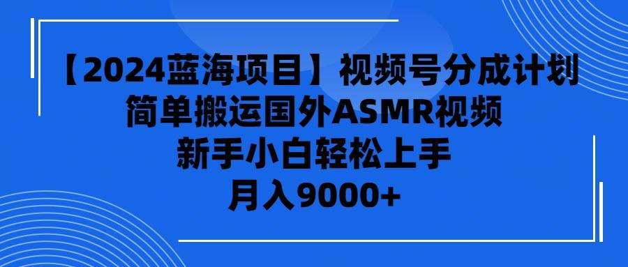 (9743期)【2024蓝海项目】视频号分成计划，无脑搬运国外ASMR视频，新手小白轻松...-点子口袋网