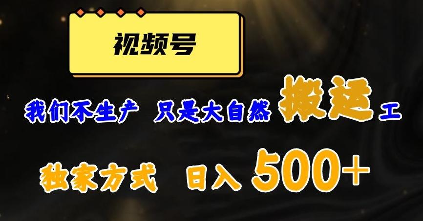 视频号轻松搬运日赚500+，一个1分钟1条原创视频【揭秘】-点子口袋网