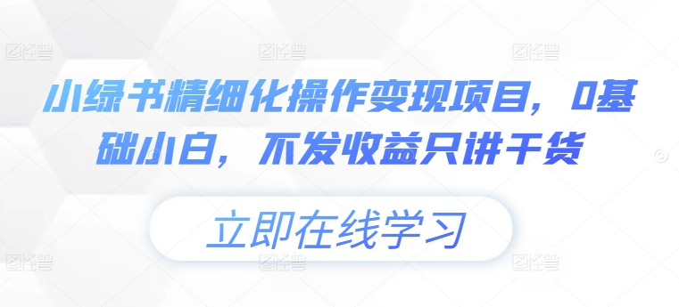 小绿书精细化操作变现项目，0基础小白，不发收益只讲干货-点子口袋网