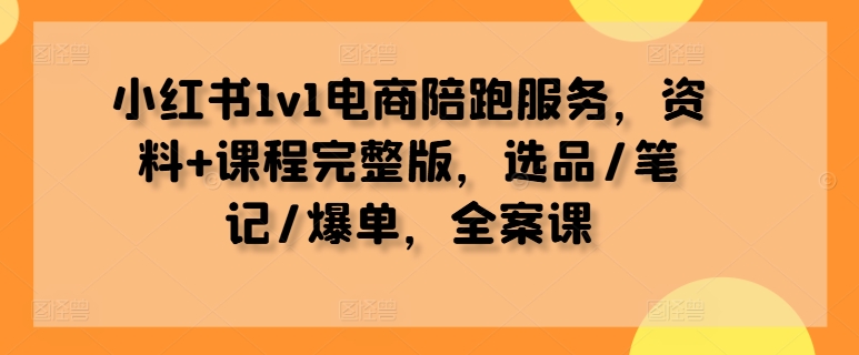 小红书1v1电商陪跑服务，资料+课程完整版，选品/笔记/爆单，全案课-点子口袋网