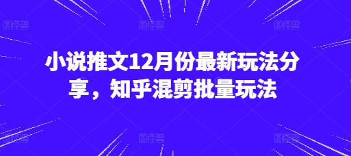 小说推文12月份最新玩法分享，知乎混剪批量玩法-点子口袋网