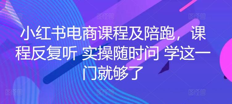 小红书电商课程及陪跑，课程反复听 实操随时问 学这一门就够了-点子口袋网