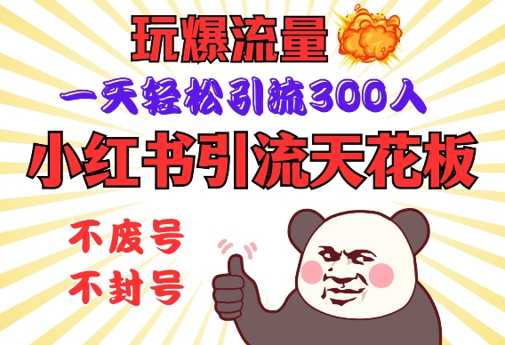 小红书引流天花板，玩爆流量，一天轻松引流300人，安全操作-点子口袋网