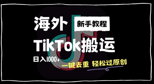 2024最新海外TikTok搬运玩法，一键去重轻松过原创，新手无经验也能日入1k【揭秘】-点子口袋网