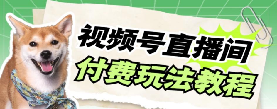 视频号美女付费无人直播，轻松日入500+【详细玩法教程】-点子口袋网