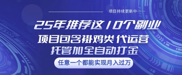 25年推荐这10个副业项目包含褂鸡类、代运营托管类、全自动打金类【揭秘】-点子口袋网