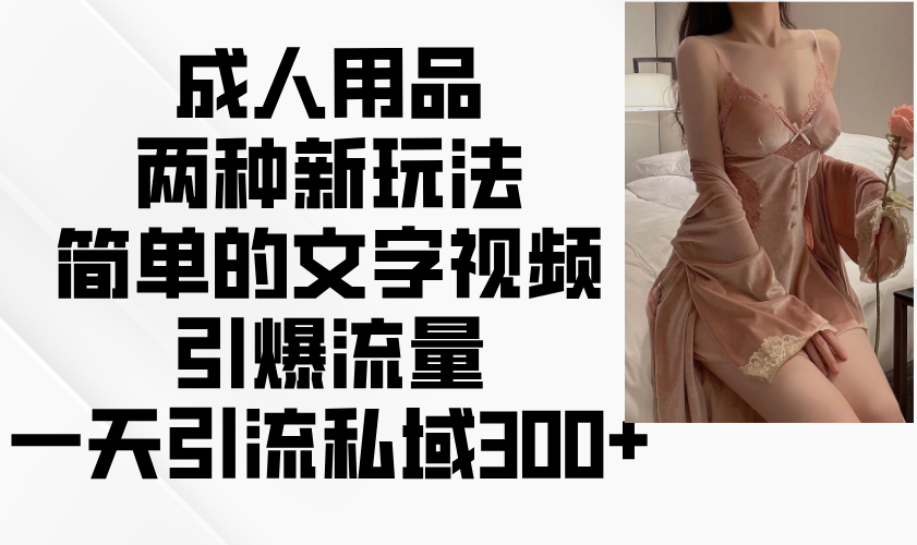 成人用品两种新玩法，简单的文字视频引爆流量，一天引流私域300+-点子口袋网
