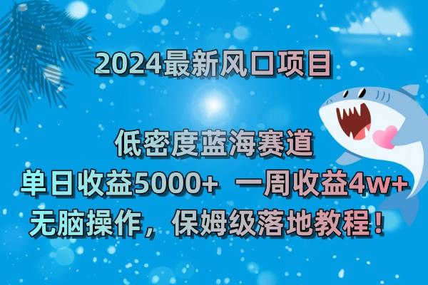(8545期)2024最新风口项目 低密度蓝海赛道，日收益5000+周收益4w+ 无脑操作，保...-点子口袋网