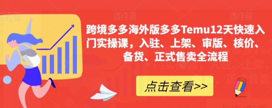 跨境多多海外版多多Temu12天快速入门实操课，入驻、上架、审版、核价、备货、正式售卖全流程-点子口袋网