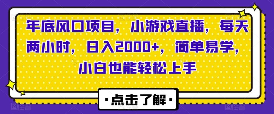 年底风口项目，小游戏直播，每天两小时，日入2000+，简单易学，小白也能轻松上手-点子口袋网