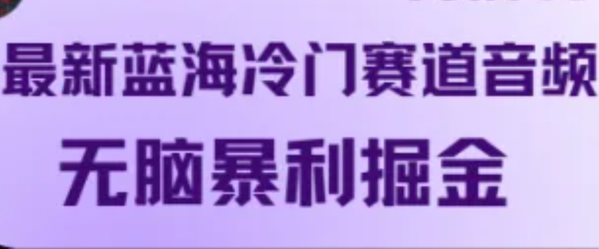 最新蓝海冷门赛道音频，无脑暴利掘金-点子口袋网