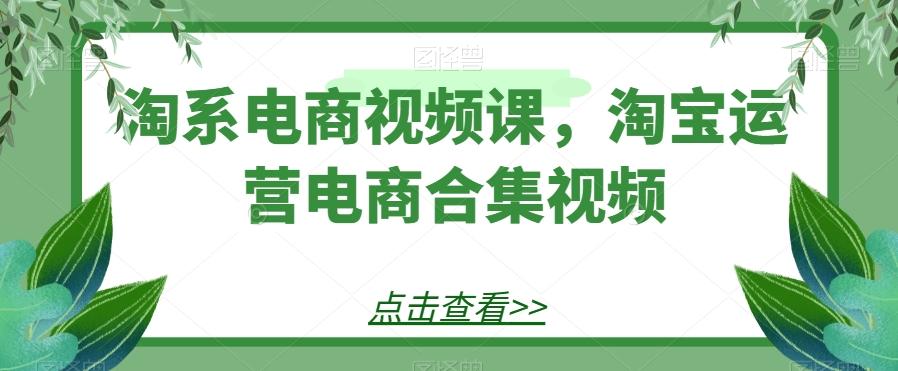 淘系电商视频课，淘宝运营电商合集视频-点子口袋网