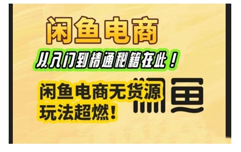 闲鱼电商实战课，从入门到精通秘籍在此，闲鱼电商无货源玩法超燃!-点子口袋网