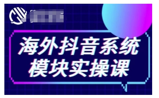 海外抖音Tiktok系统模块实操课，TK短视频带货，TK直播带货，TK小店端实操等-点子口袋网
