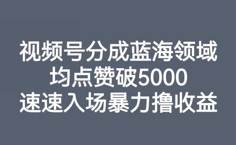 视频号分成蓝海领域，均点赞破5000，速速入场暴力撸收益-点子口袋网