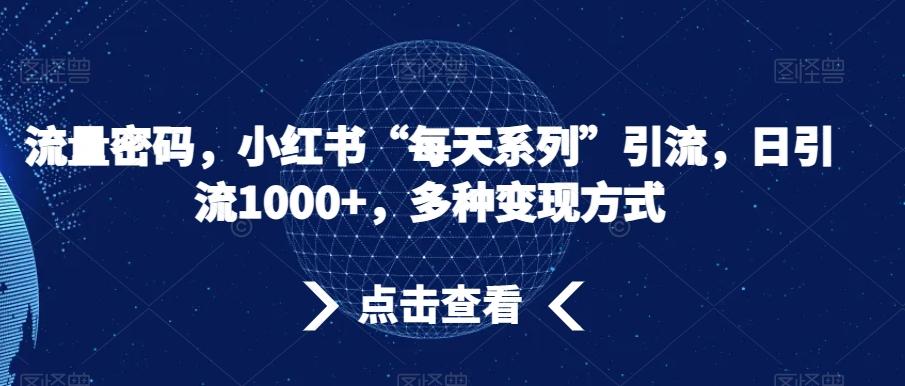 流量密码，小红书“每天系列”引流，日引流1000+，多种变现方式【揭秘】-点子口袋网