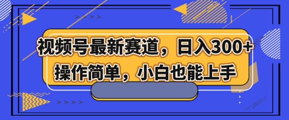 视频号最新赛道，日入300+，新手小白轻松掌握-点子口袋网