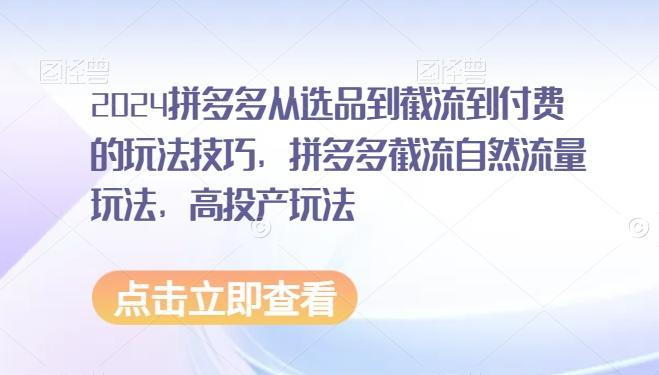 2024拼多多从选品到截流到付费的玩法技巧，拼多多截流自然流量玩法，高投产玩法-点子口袋网