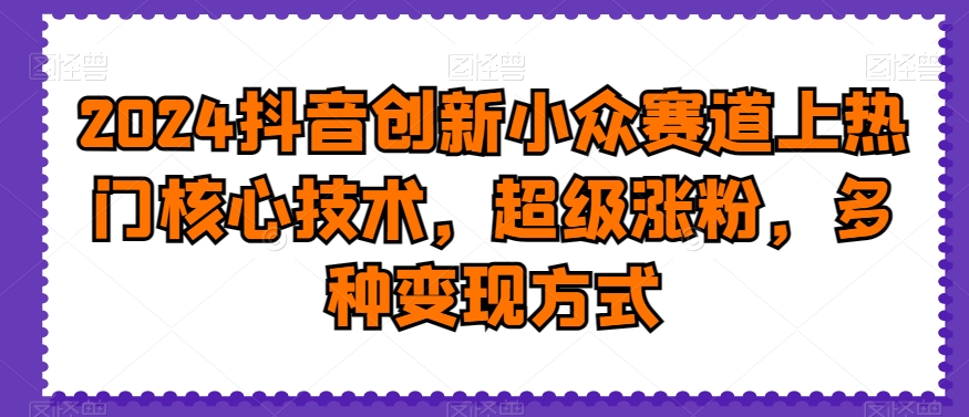 2024抖音创新小众赛道上热门核心技术，超级涨粉，多种变现方式【揭秘】-点子口袋网