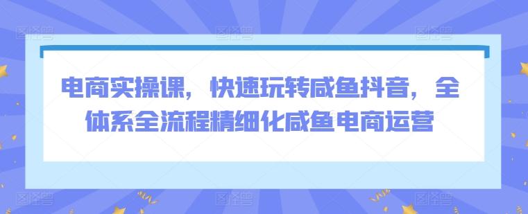 电商实操课，快速玩转咸鱼抖音，全体系全流程精细化咸鱼电商运营-点子口袋网