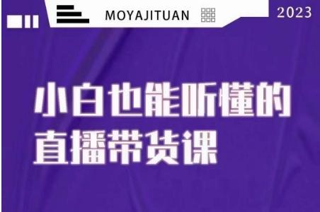 大威本威·能听懂的直播带货课，小白也能听懂，20节完整-点子口袋网