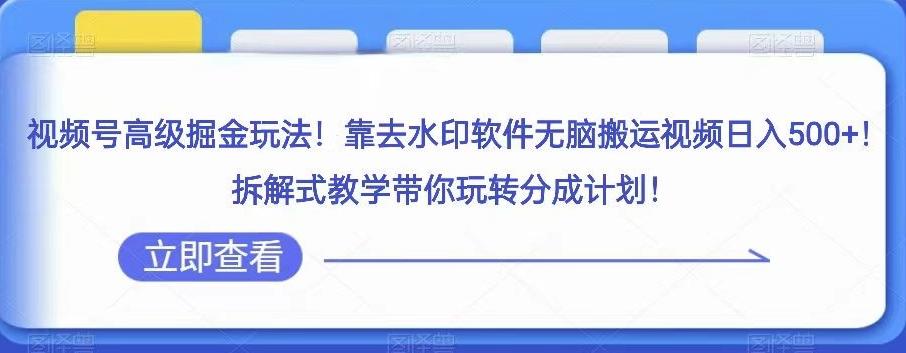视频号高级掘金玩法，靠去水印软件无脑搬运视频日入500+，拆解式教学带你玩转分成计划【揭秘】-点子口袋网