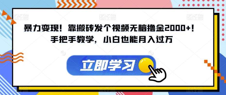 暴力变现！靠搬砖发个视频无脑撸金2000+！手把手教学，小白也能月入过万【揭秘】-点子口袋网