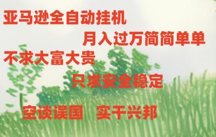 亚马逊全自动浏览挂机，，收益稳定且前景广阔-点子口袋网