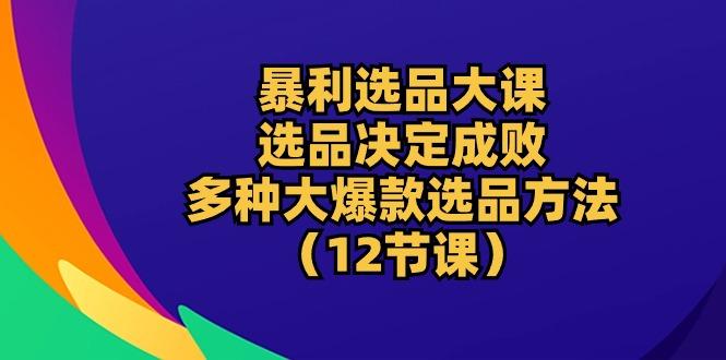 暴利 选品大课：选品决定成败，教你多种大爆款选品方法(12节课-点子口袋网