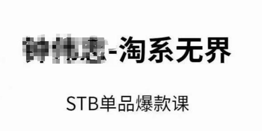 淘系无界STB单品爆款课(2024)，付费带动免费的核心逻辑，万相台无界关键词推广/精准人群的核心-点子口袋网