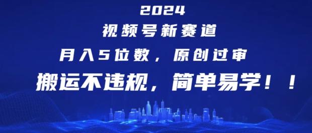 2024视频号新赛道，月入5位数+，原创过审，搬运不违规，简单易学【揭秘】-点子口袋网