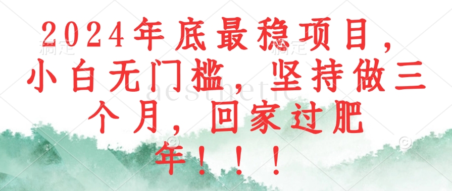 2024年底最稳项目，小白无门槛，坚持做三个月，回家过肥年！！！-点子口袋网