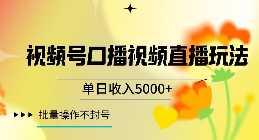 视频号囗播视频直播玩法，单日收入5000+，批量操作不封号【揭秘】-点子口袋网