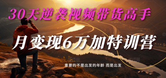 30天逆袭视频带货高手，单月变现6万加特训营-麦子甜-点子口袋网