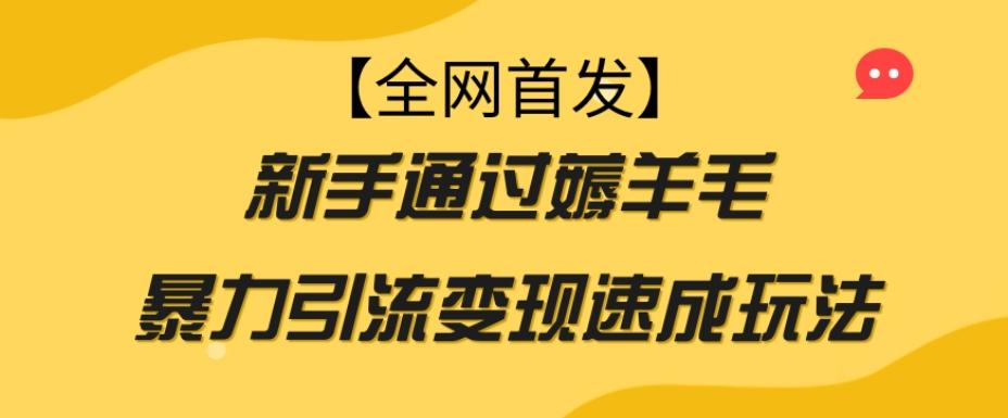 【全网首发】新手通过薅羊毛暴力引流变现速成玩法-点子口袋网