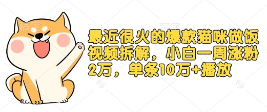 最近很火的爆款猫咪做饭视频拆解，小白一周涨粉2万，单条10万+播放(附保姆级教程)-点子口袋网