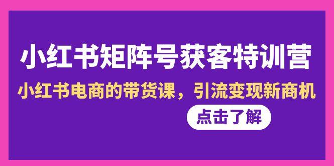 小红书-矩阵号获客特训营-第10期，小红书电商的带货课，引流变现新商机-点子口袋网