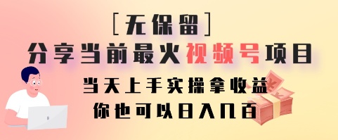 无保留分享当前最火视频号项目，当天上手实操拿收益，你也可以日入几百-点子口袋网