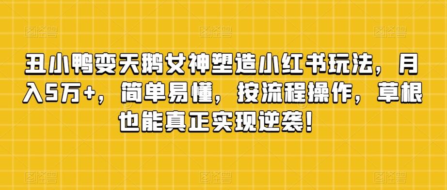 丑小鸭变天鹅女神塑造小红书玩法，月入5万+，简单易懂，按流程操作，草根也能真正实现逆袭！-点子口袋网