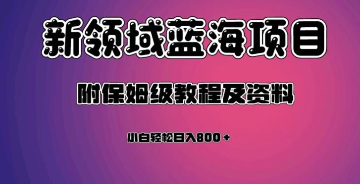 虚拟资源蓝海领域新项目，轻松日入800＋，附保姆级教程及资料-点子口袋网