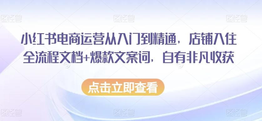 小红书电商运营从入门到精通，店铺入住全流程文档+爆款文案词，自有非凡收获-点子口袋网