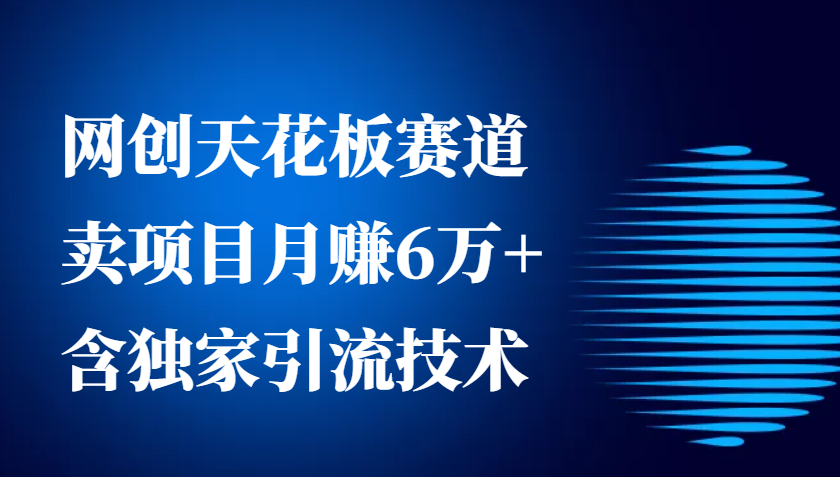 网创天花板赛道，卖项目月赚6万+，含独家引流技术(共26节课)-点子口袋网