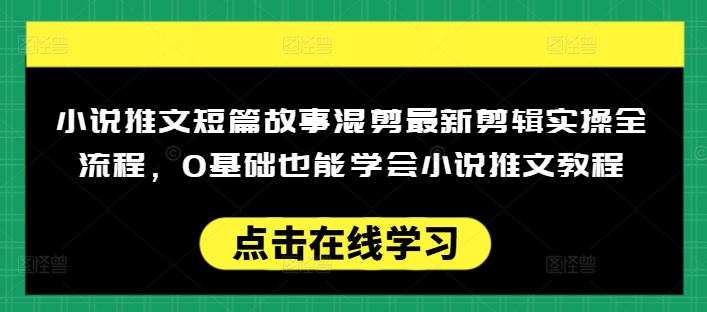 小说推文短篇故事混剪最新剪辑实操全流程，0基础也能学会小说推文教程，肯干多发日入多张-点子口袋网