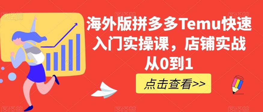 海外版拼多多Temu快速入门实操课，店铺实战从0到1-点子口袋网