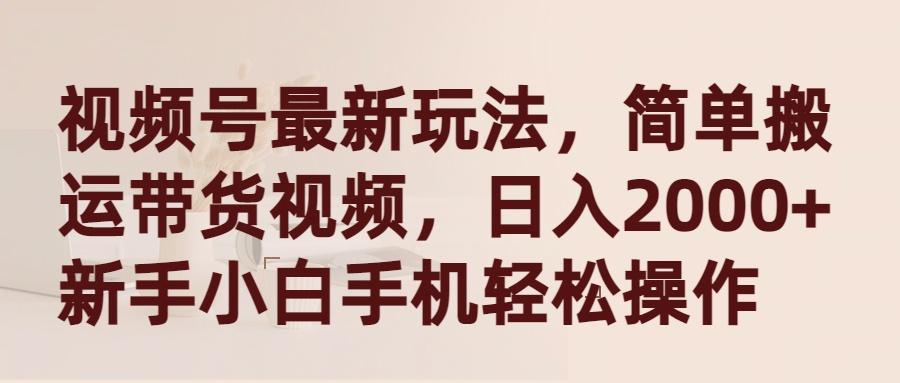 (9486期)视频号最新玩法，简单搬运带货视频，日入2000+，新手小白手机轻松操作-点子口袋网