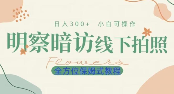 明拍暗拍项目0成本投入日入300+小白可操作保姆式全方位教程-点子口袋网