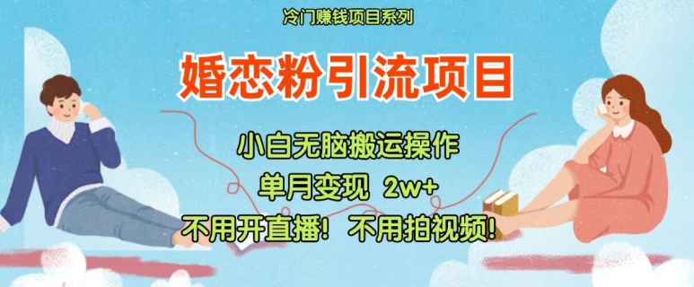 小红书婚恋粉引流，不用开直播，不用拍视频，不用做交付【揭秘】-点子口袋网