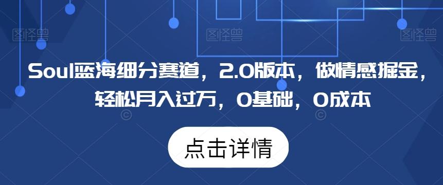 Soul蓝海细分赛道，2.0版本，做情感掘金，轻松月入过万，0基础，0成本-点子口袋网